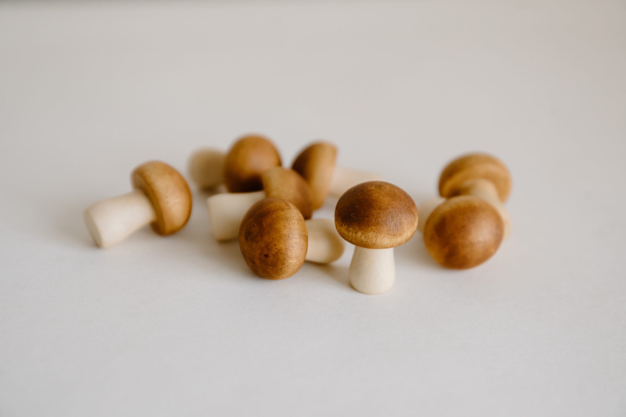 Mini Wooden Mushrooms