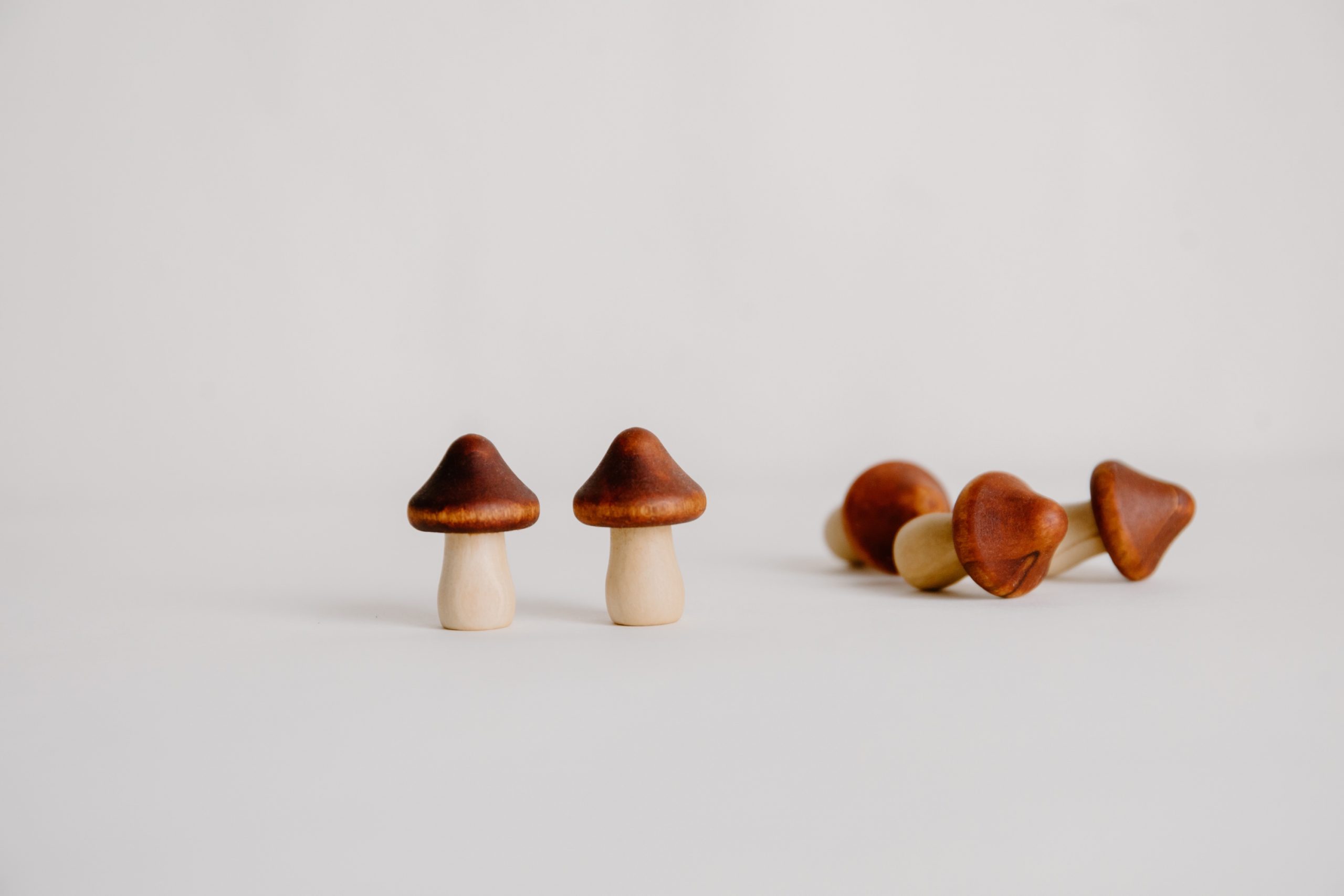 Mini Wooden Mushrooms - Little Forest Village